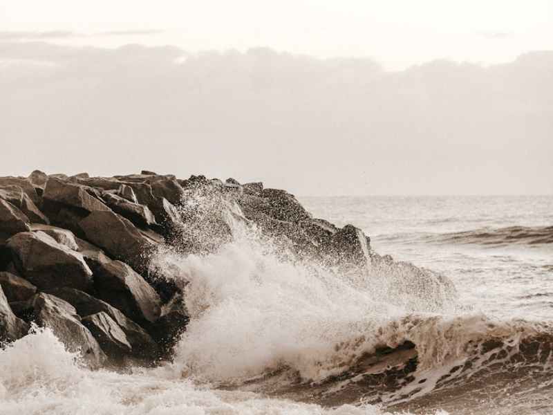 2024 – Shaking it&nbsp;Up